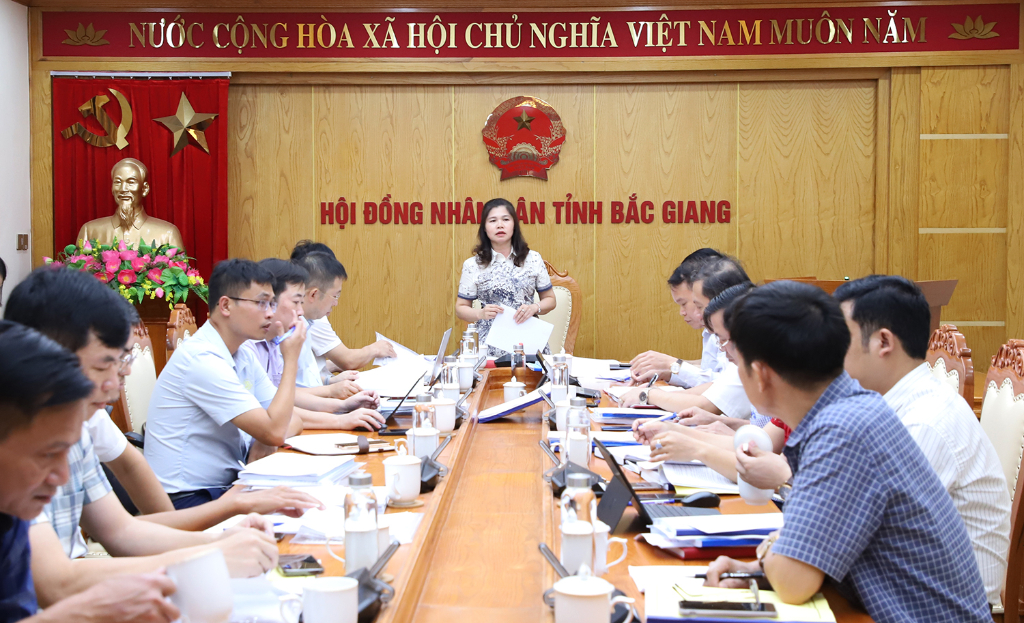 Đảng đoàn HĐND tỉnh Bắc Giang thẩm tra dự thảo Nghị quyết