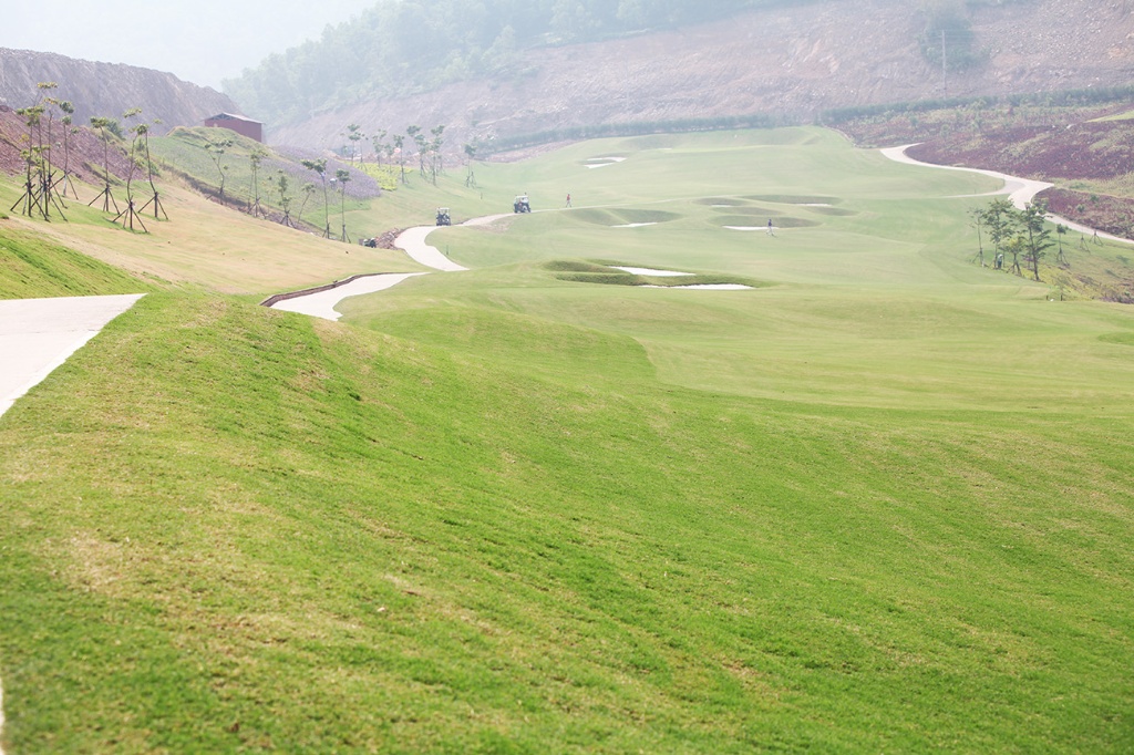 Điều chỉnh cục bộ Quy hoạch chi tiết xây dựng Sân golf, dịch vụ Yên Dũng, tỉnh Bắc Giang