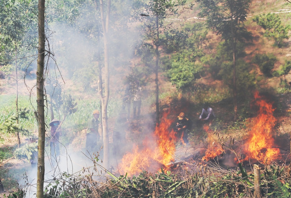 Tăng cường công tác phòng cháy, chữa cháy rừng