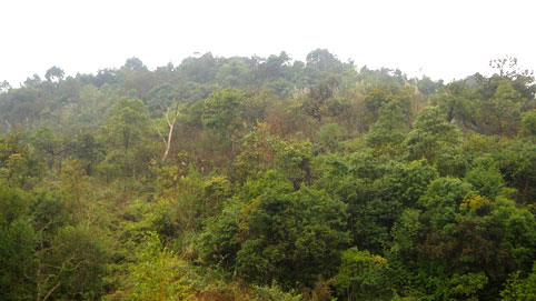 Phê duyệt Quy hoạch bảo tồn và phát triển bền vững Khu rừng đặc dụng Tây Yên Tử, giai đoạn 2013-2020