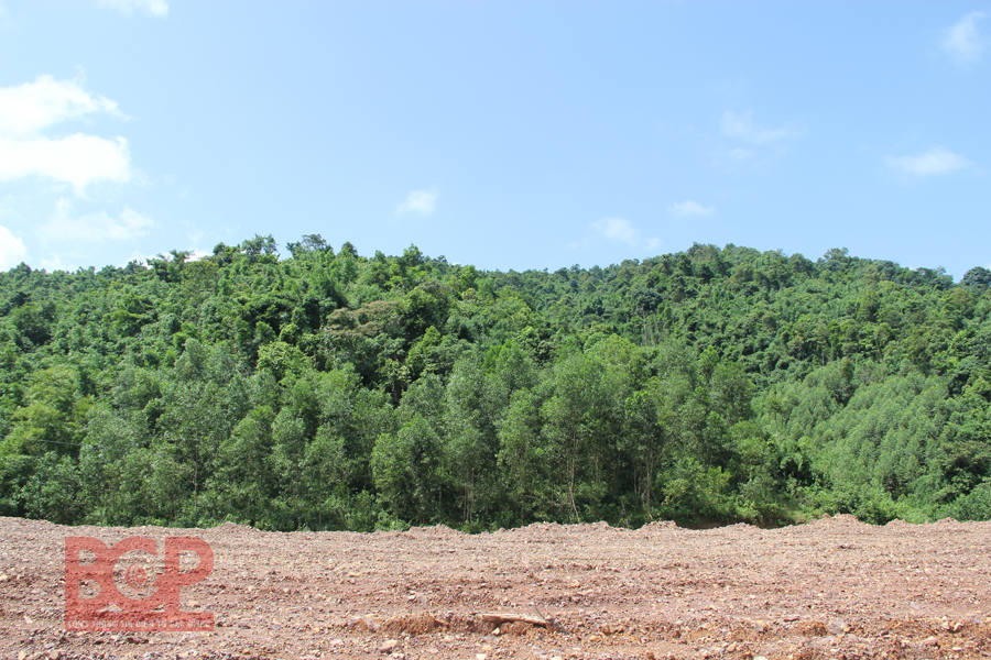Bắc Giang: Công bố hiện trạng rừng năm 2018