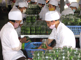 Tỉnh Bắc Giang đạt giá trị kim ngạch xuất khẩu cao nhất từ trước đến nay.