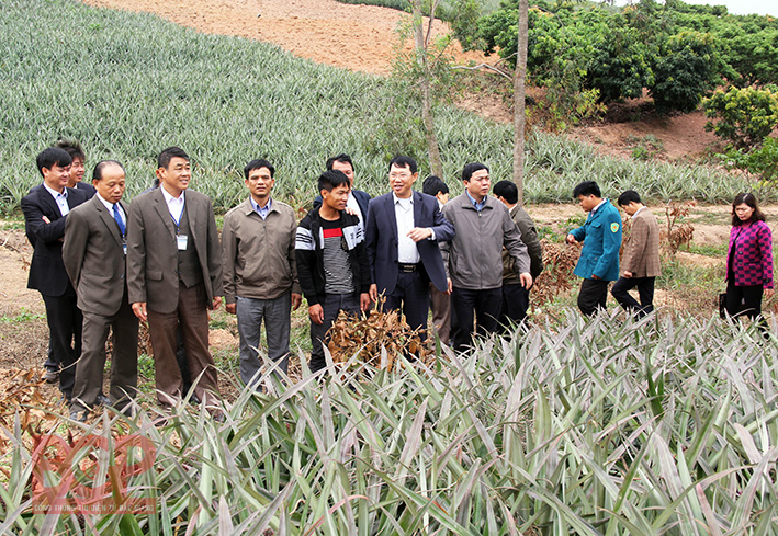 Phó Chủ tịch UBND tỉnh Lê Ánh Dương kiểm tra công tác giảm nghèo tại huyện Lục Nam