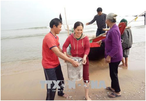 Ngư dân Quảng Bình trúng "lộc biển" đầu năm