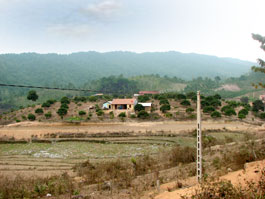 Hiệu quả từ dự án di dân tái định cư ở một bản vùng cao Sơn Động.    