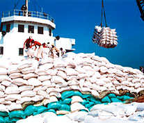 Việt Nam trúng thầu xuất khẩu 14 ngàn tấn gạo sang Nhật