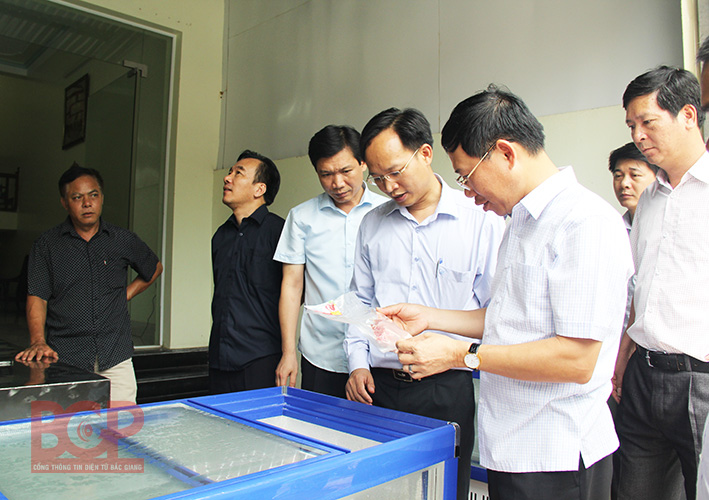 Phó Chủ tịch UBND tỉnh Lê Ánh Dương thăm mô hình cung cấp thực phẩm an toàn 