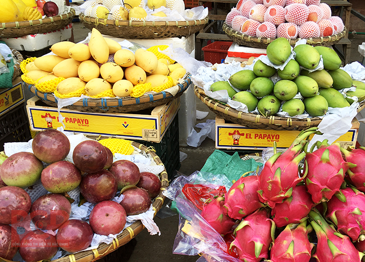 Giá một số loại trái cây ngày 25/10/2017
