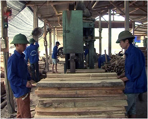 Bắc Giang: Nâng cao hiệu quả các mô hình kinh tế thanh niên