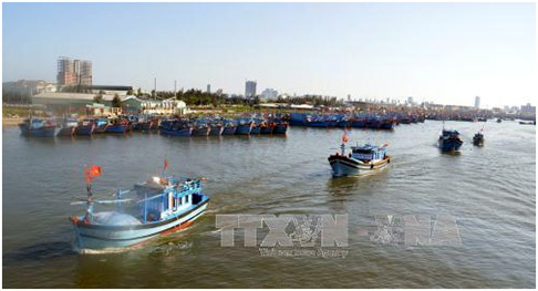 Đà Nẵng hỗ trợ ngư dân vươn khơi, bám biển