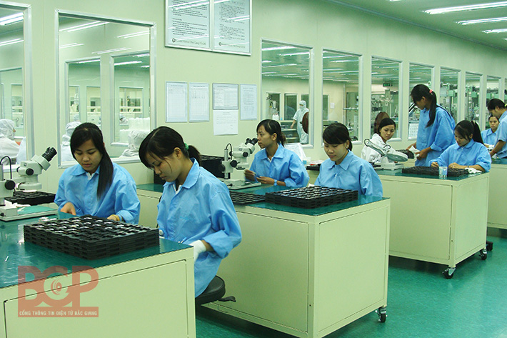 Bắc Giang: 6 tỷ đồng cho vay giải quyết việc làm và hộ nghèo