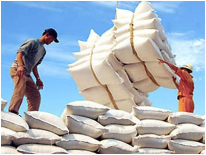 Đề xuất quy định về hợp đồng xuất khẩu gạo tập trung