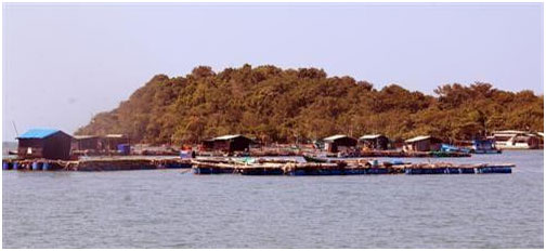 Phát triển du lịch cộng đồng ở xã đảo Tiên Hải