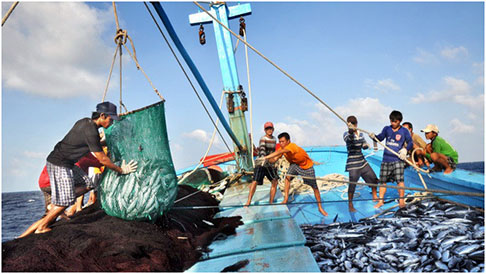Nâng cao hiệu quả thực hiện chính sách phát triển kinh tế biển
