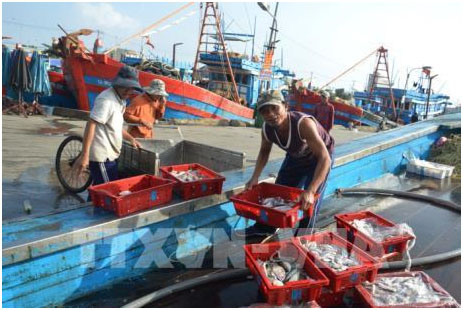 Khắc phục “thẻ vàng” IUU: Quảng Trị giám sát tàu cá khai thác xa bờ