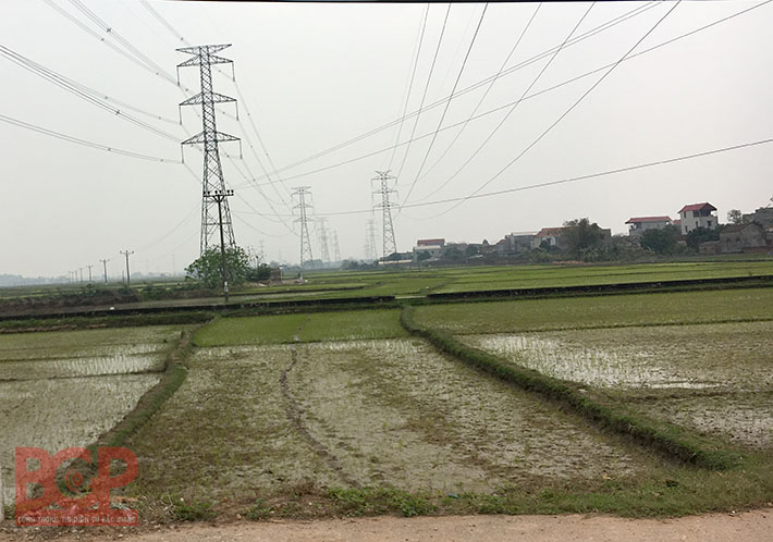 Điều chỉnh quy hoạch, bổ sung kế hoạch sử dụng đất huyện Việt Yên