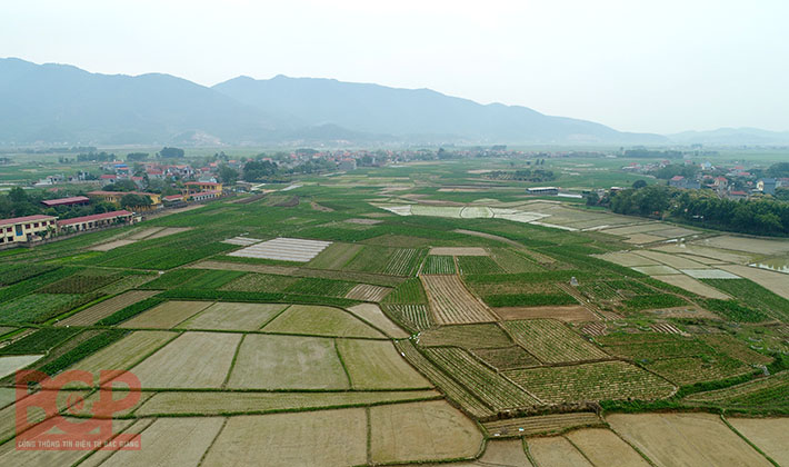 Điều chỉnh quy hoạch, bổ sung kế hoạch sử dụng đất huyện Yên Dũng